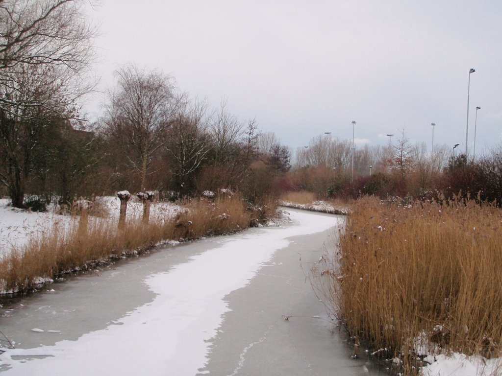 Snow on the water near the park by agroenheide