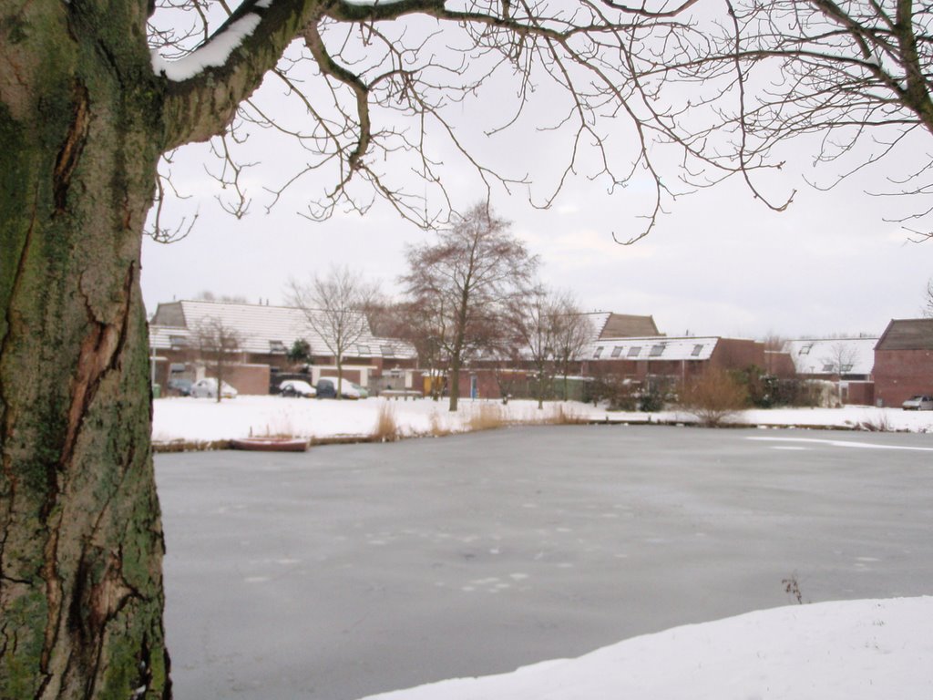 The pond in januari by agroenheide