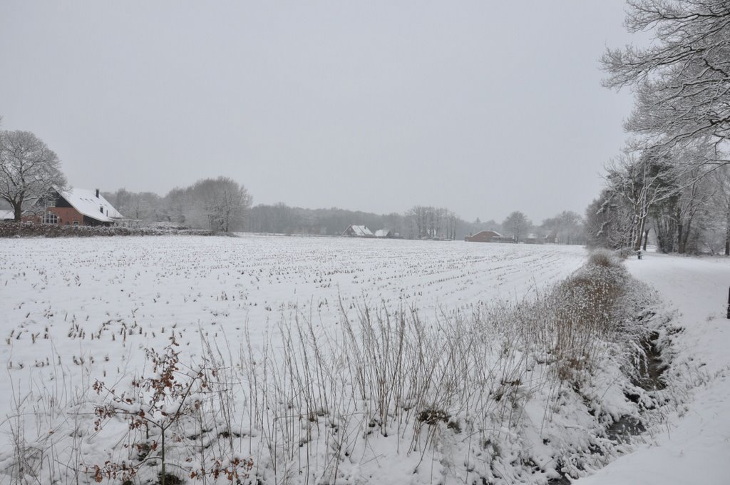 Winter Kotten by M.F. Naaldenberg