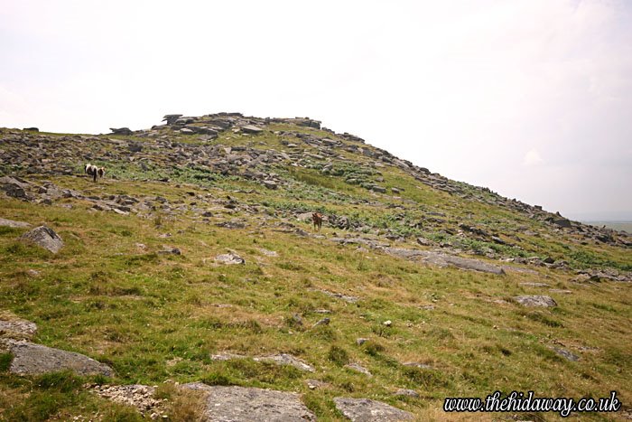 Rough Tor by The Hidaway