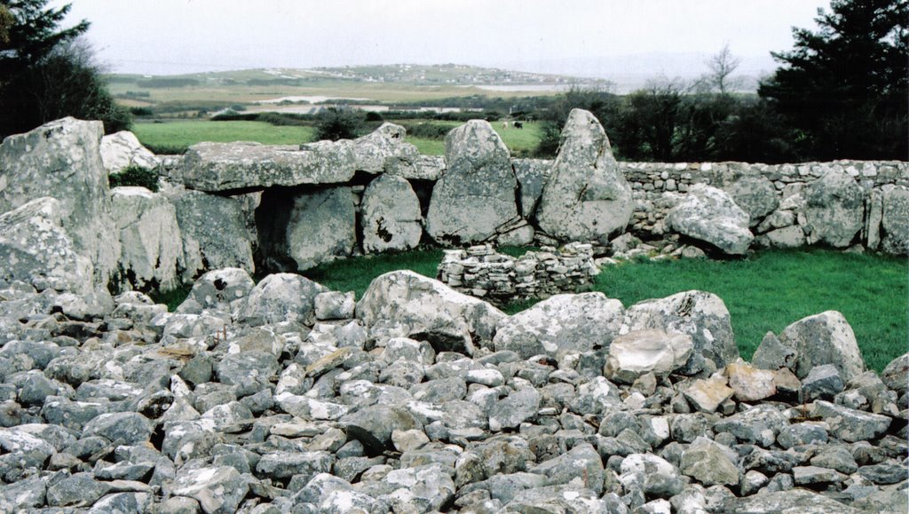 Creevykeel Court Tomb by dougf