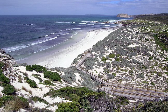 Seal Bay, Kangaroo Island by Ashley2010