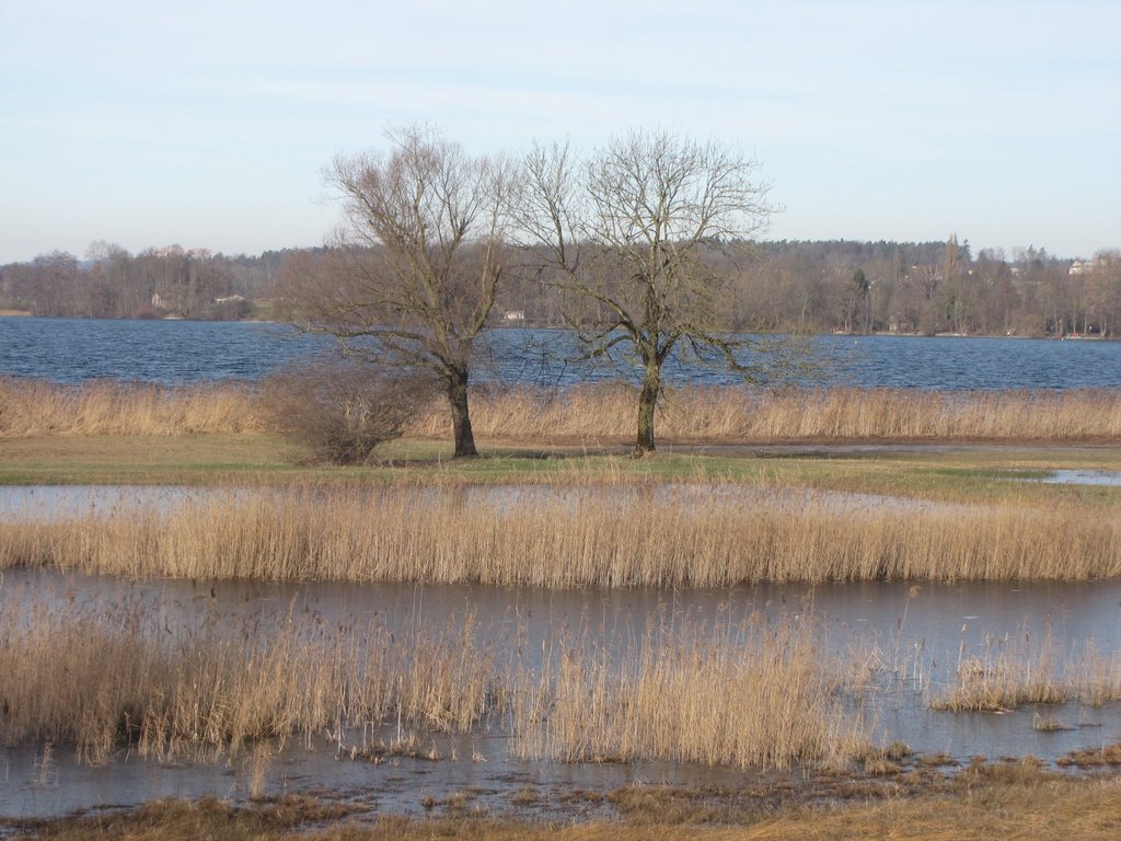 Am Greifensee by Fritz Steiner