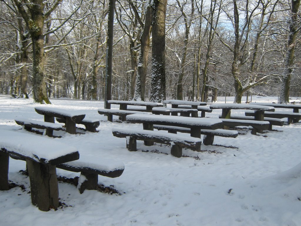 Der nächste Sommer kommt bestimmt-Vesperplatz im Wasenwald by WEOSRA