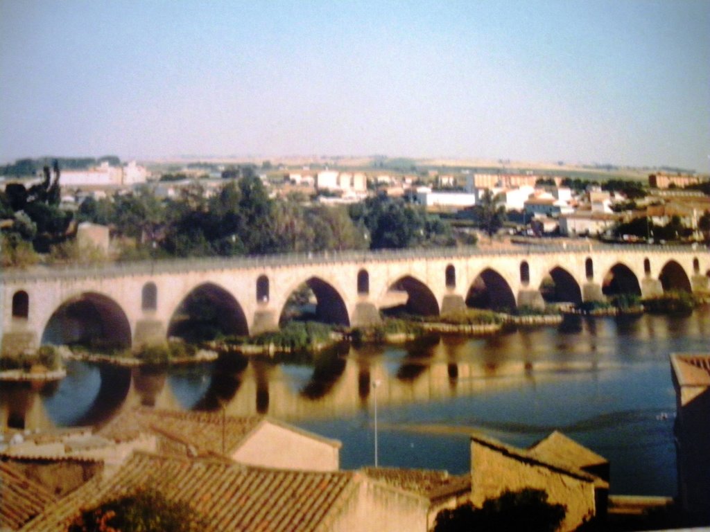 Zamora, pont romà sobre riu Duero 1990 by joanloam