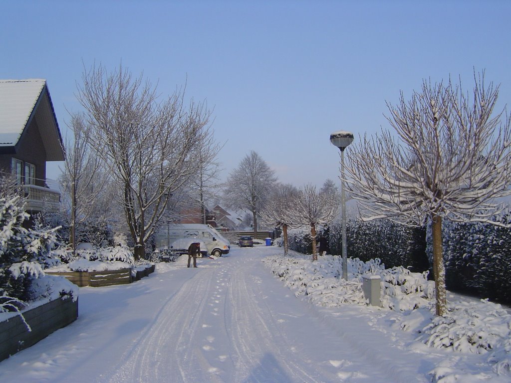 Winter at Knolgroenakker, Wezep by Wim Rietberg