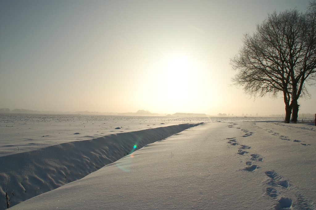 Gelepollenweg sneeuwlandschap by demore