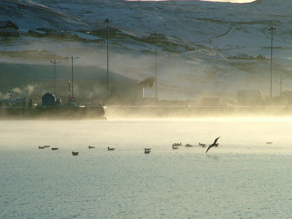 Arctic sea smoke by Paul Leask