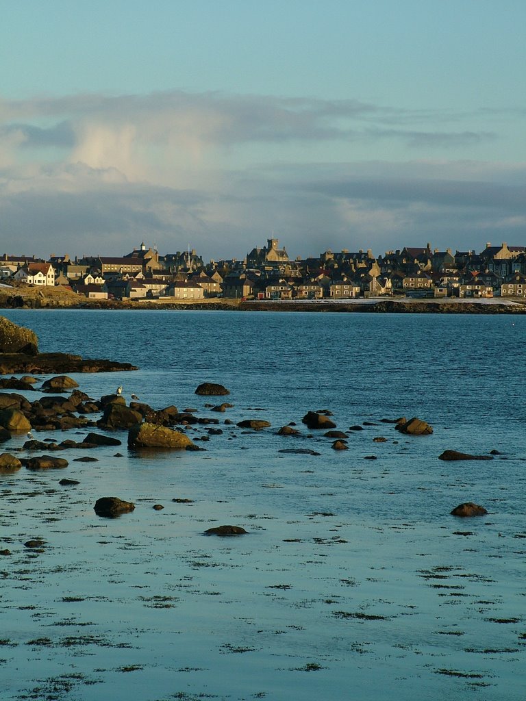 Lerwick Town Hall by Paul Leask