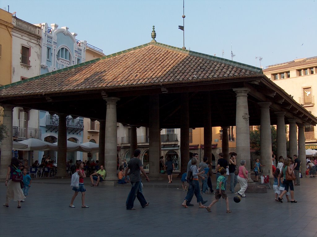 Plaza del Ayuntamiento. Monumento by Marcelo Jorge