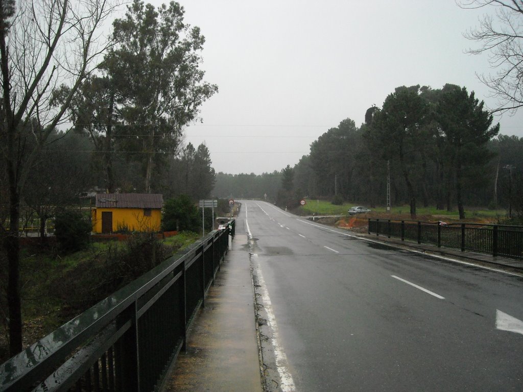 La carretera Ex - 119 y los pinares del Tiétar. Enero de 2010 by viajeroandaluz