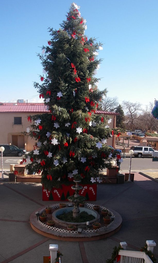 Decorated tree in Old Town, Albuquerque, NM by theropod