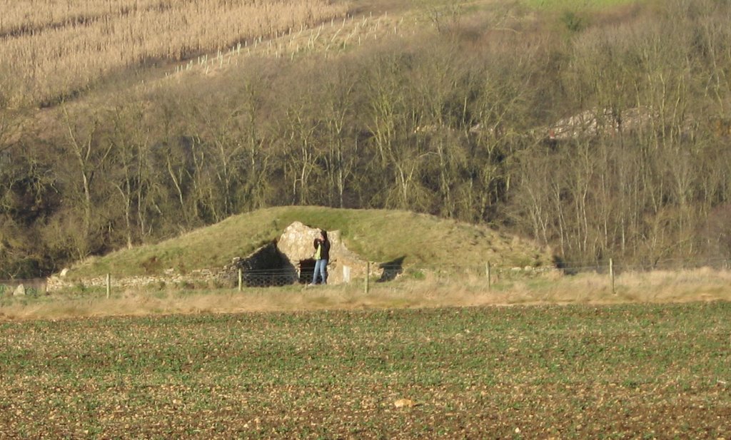 Stony Littleton Long Barrow. by Bob&Anne Powell