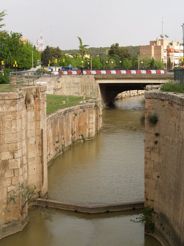 Esclusas de San Carlos by gamezcano