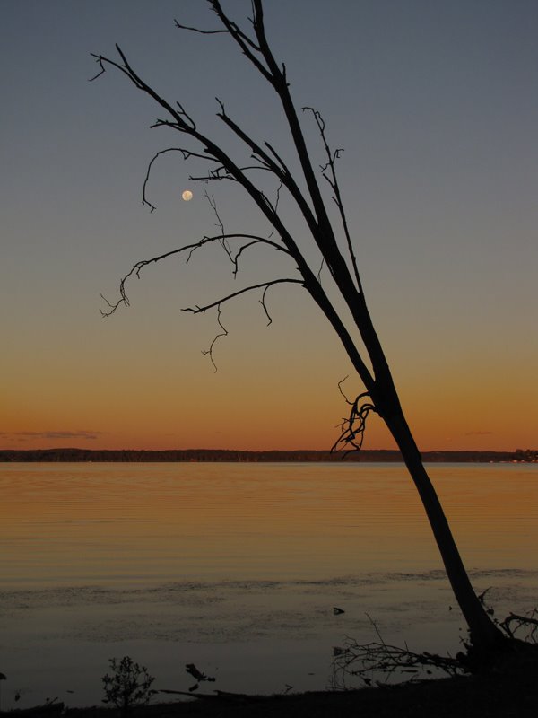 Lake Macquarie from Morisset Hospital 1 by Bryan Martin