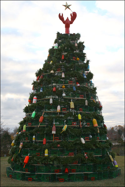 Largest Lobster Trap Tree in America Rockland Maine by Outsiderin