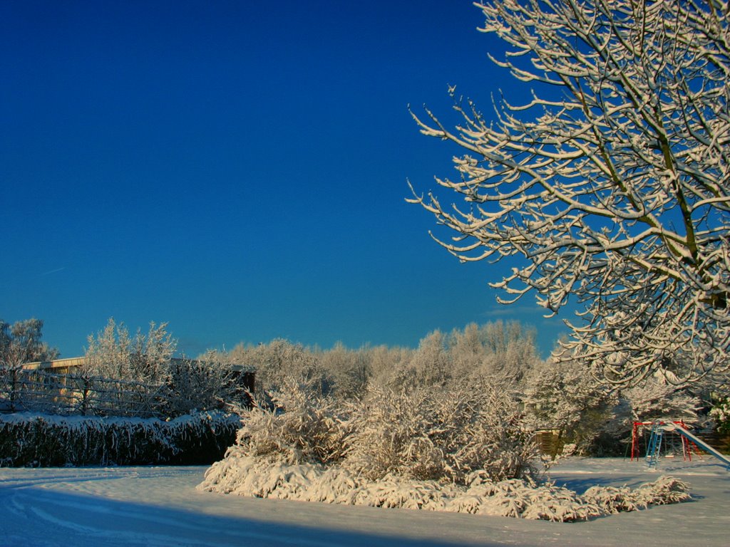 Sneeuw in Lelystad (2009/2010) by Marco Hoefman