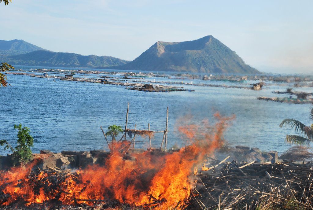 Burning of old bamboo poles by cesarcentroncambay