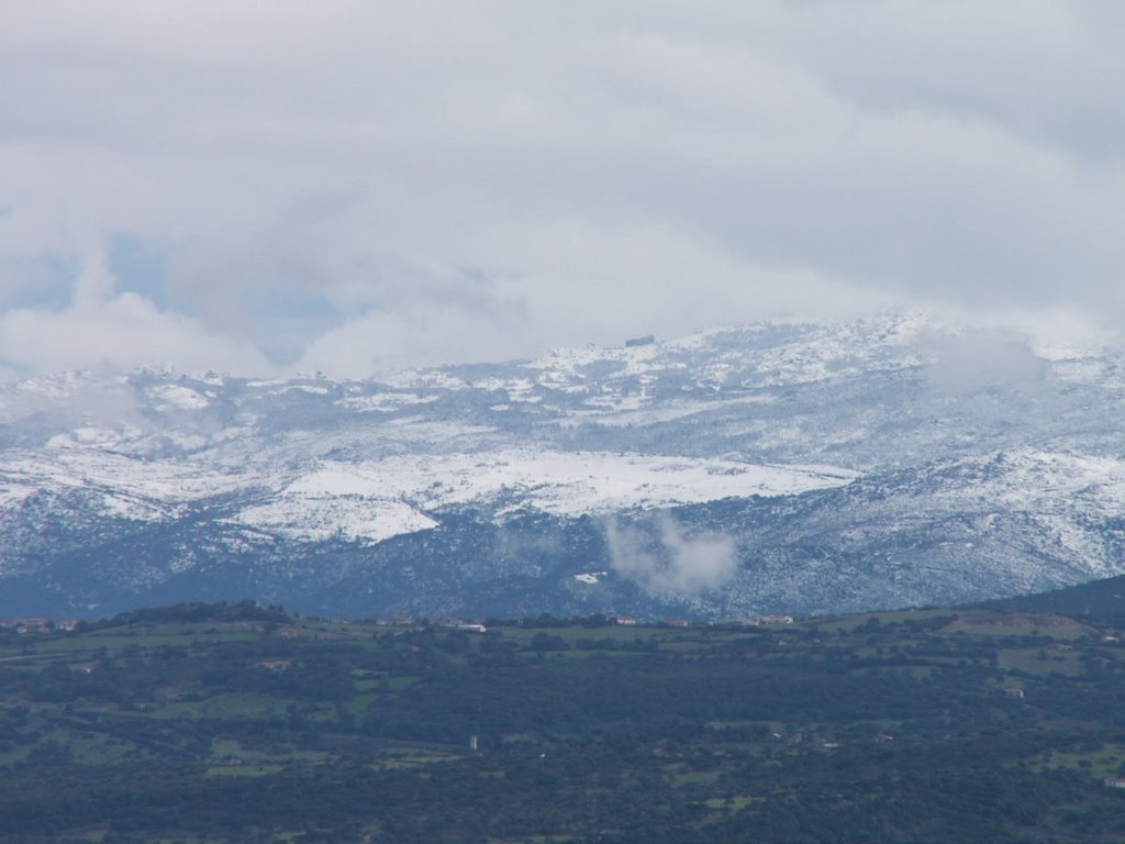 Vista Su Sassu e monte Limbara foto Mario Unali by mario.unali