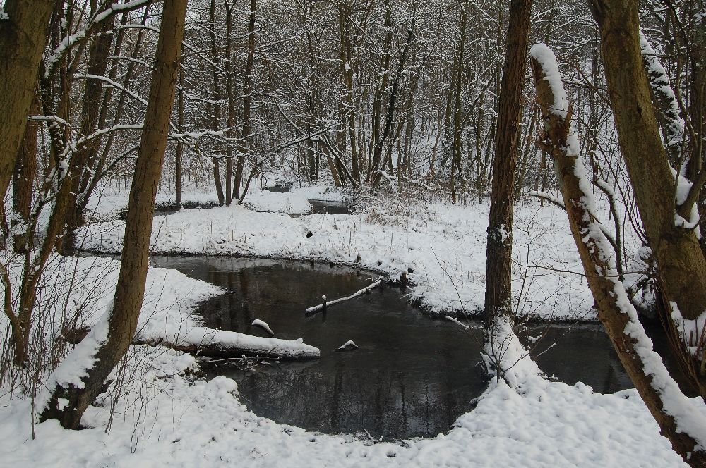 Winter im Naherholungsgebiet Hohenstein by 14MAN02