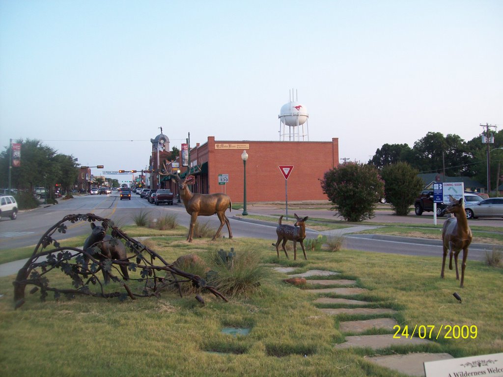 Glorieta en Main Street & E Northeast hwy by marcoalejandro