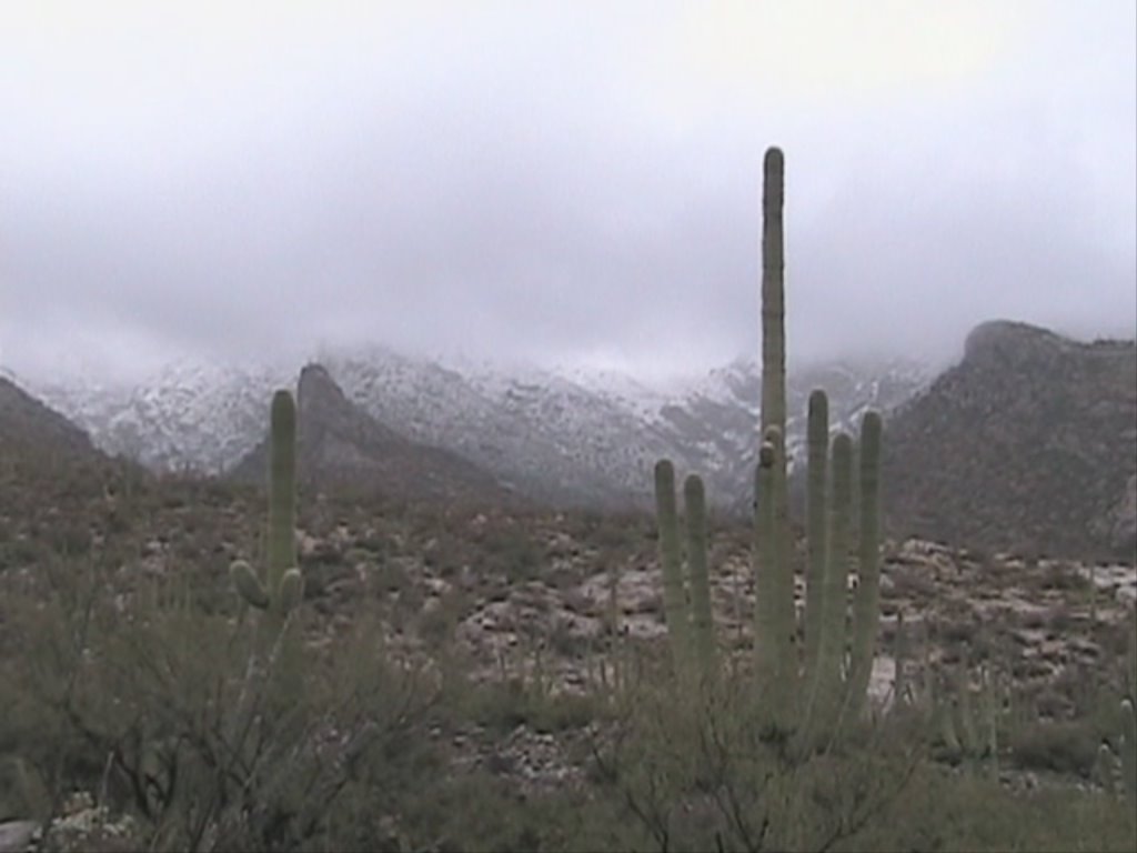 Rare Snow Finger Rock Trailhead by EmbraceGrace