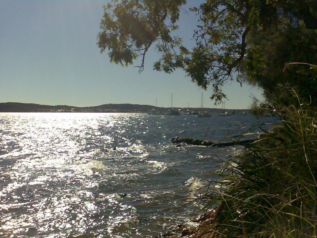 Belmont Bay North View by Greg Lunn