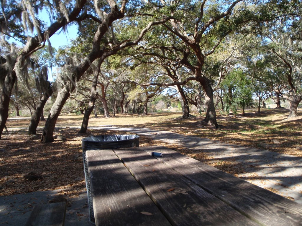 Cliff Stevens Park by chrisp247