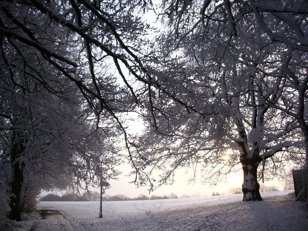 Snow in the park December 2009. by gordo1958