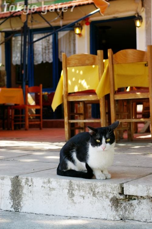 Rafina 2007 (cat and taverna) by tokyo gate7