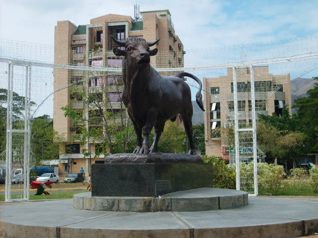 El Toro Las Delicias, Maracay by Carlos E. Pérez (CEPSL)