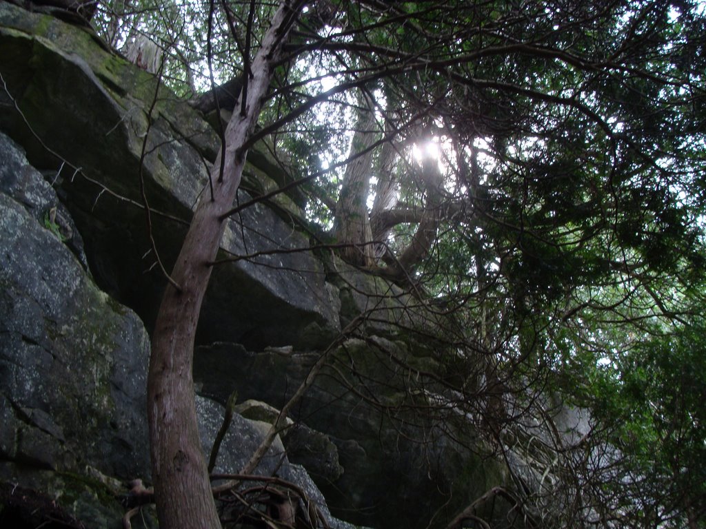 Bruce's Caves Rock Face by FredG1