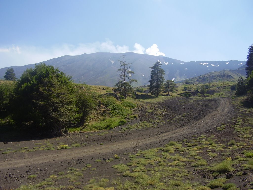 L'Etna da Piano Provenzana Giu - 07 by massimopalmigiano