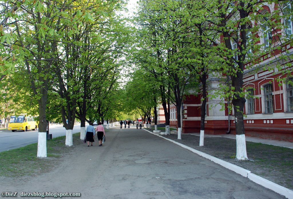 Radyans'ka street (вул. Радянська / ул. Советская) by Dmytro [DieZ] Mantula