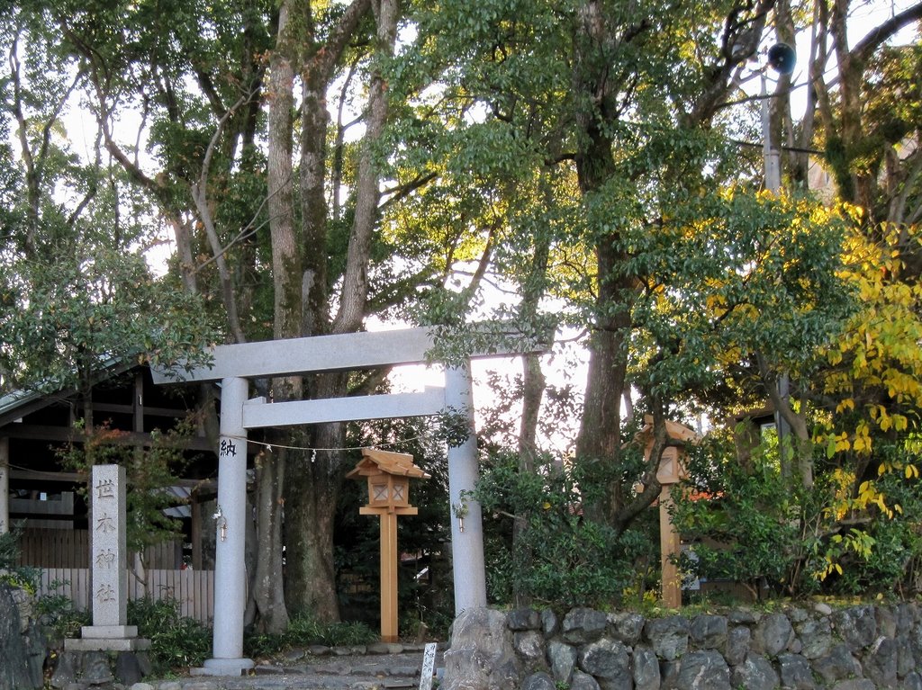 Segi shrine (世木神社, segi jinja) by heptal