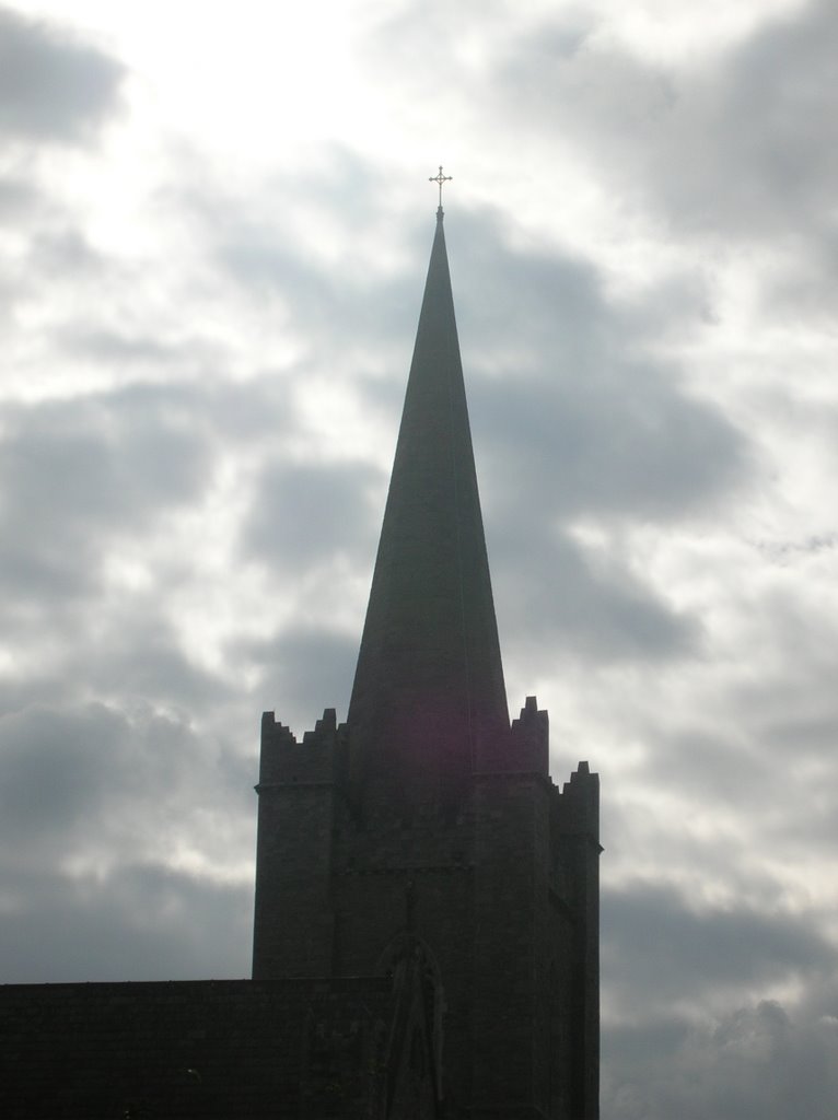 Saint Patrick's Cathedral, Dublino (Dublin), Irlanda (Eire, Ireland) by Danilo Pianini