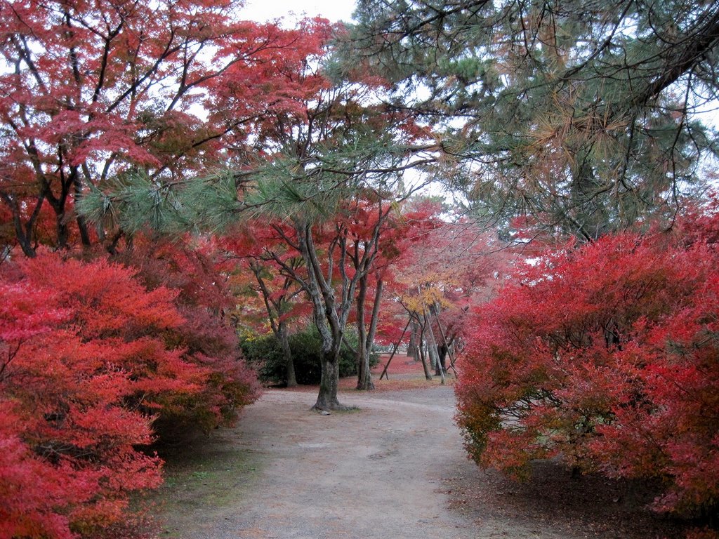 Ruins of Matsuzaka Castle (松坂城跡 Matsuzaka jō ato) by heptal