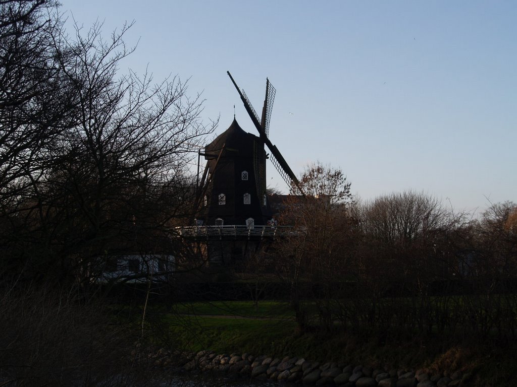 Windmill from other site of the park by ormy