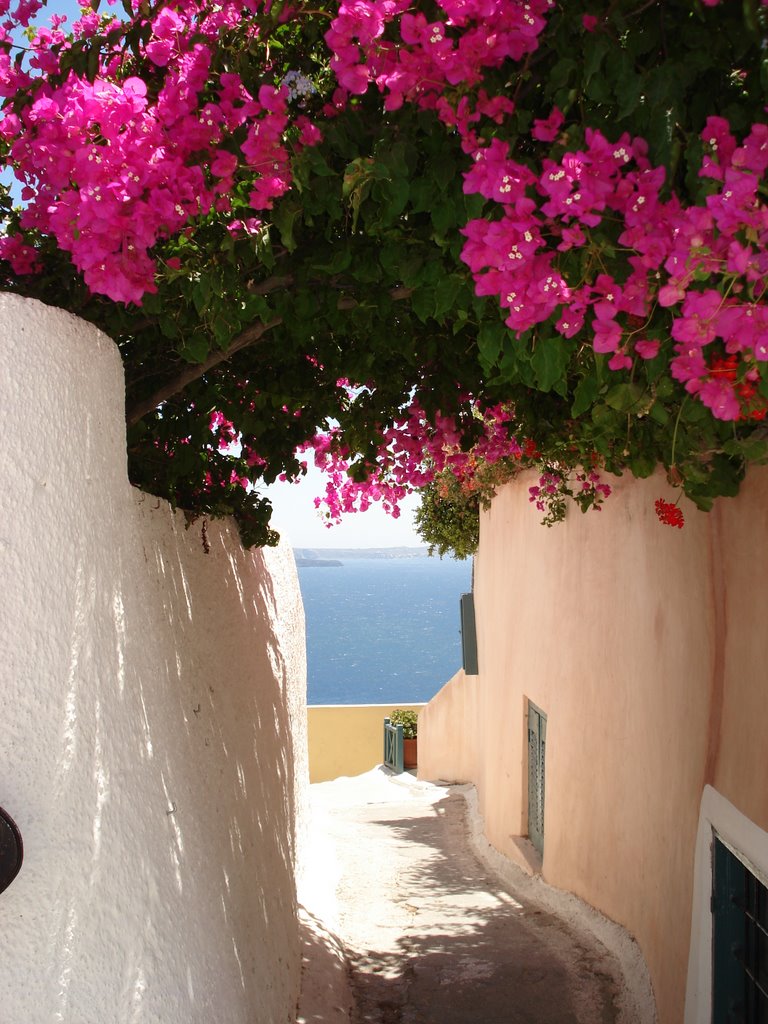 Oia, Santorini: need plenty of gigabytes!!! / Οία, Σαντορίνη: απαραίτητα τα πολλά gigabytes!!! by Panagiotis Rompakis