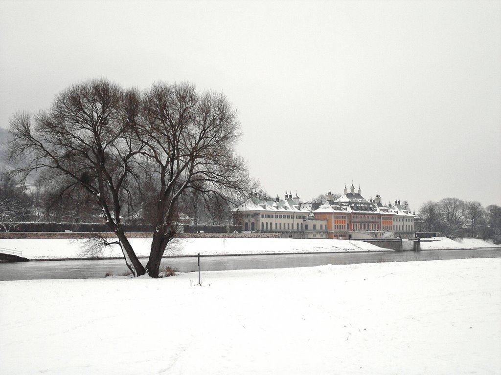 Blick über die Elbe zum Schloß Pillnitz by Kampfmops1976