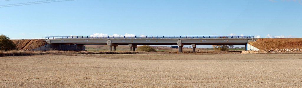 VIADUCTO DEL VALLARNA A-66 by MANUEL MELCHOR