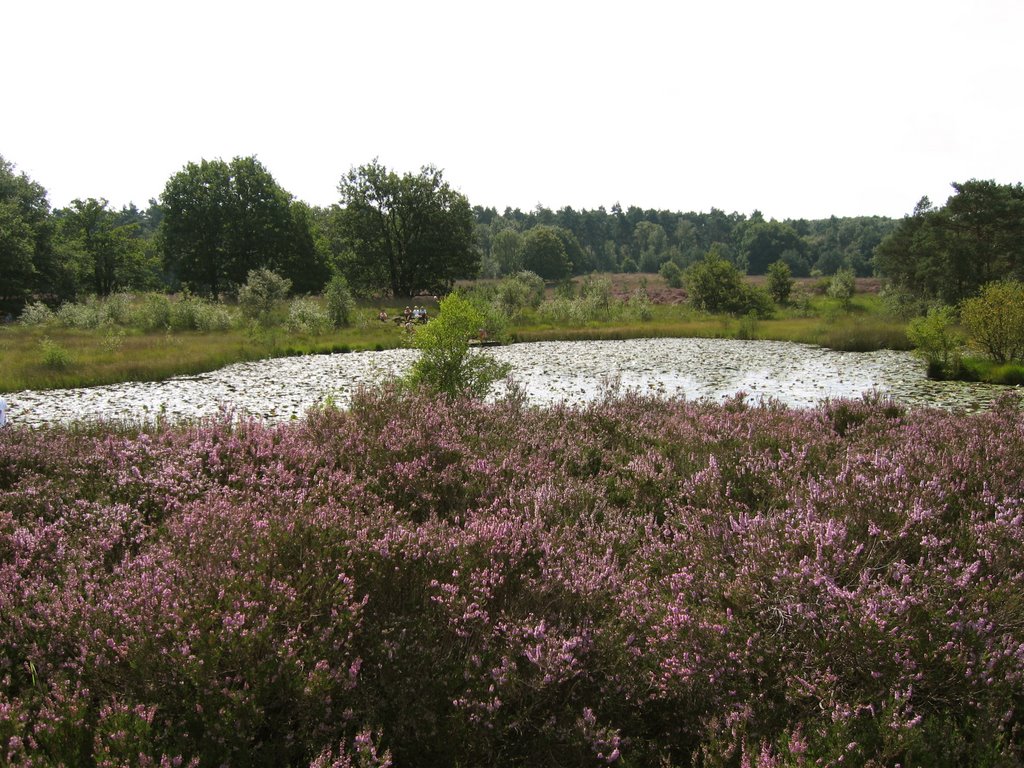 Nationalpark de Meinweg 2 by Fulnir