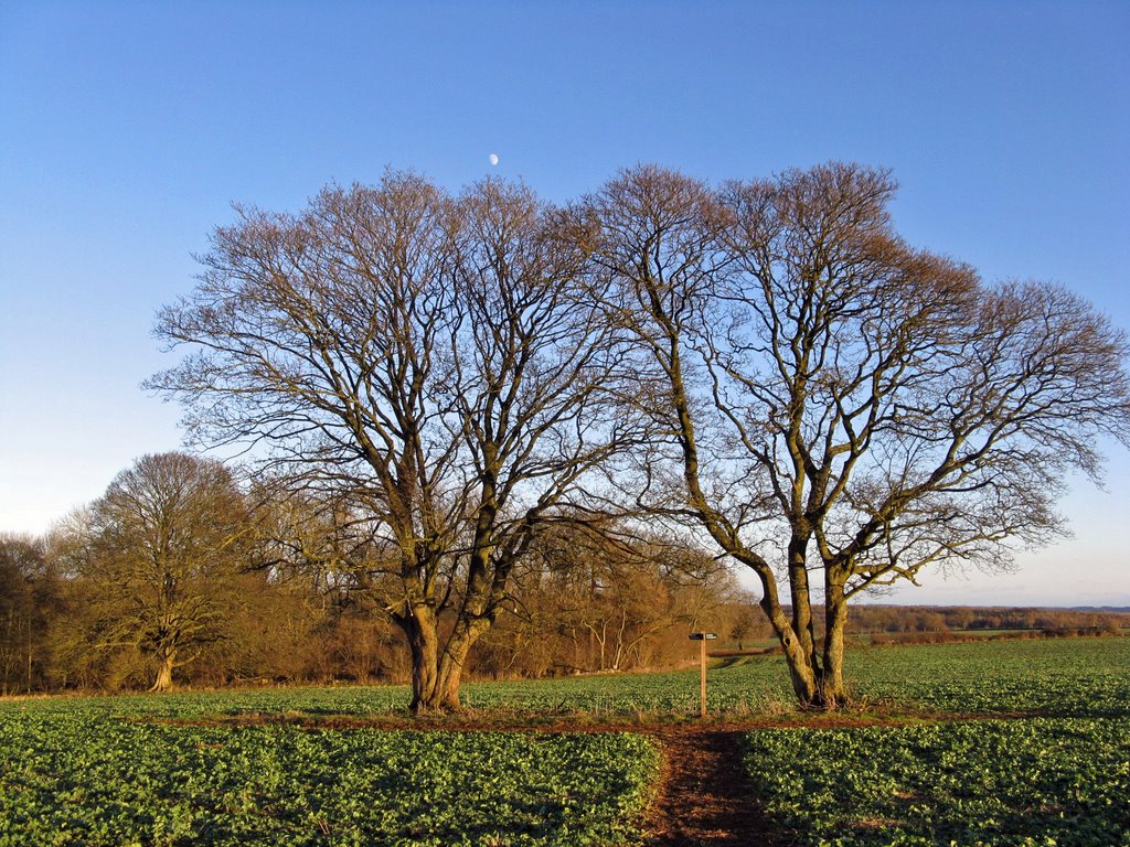 Chedworth by G knight