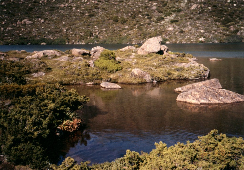 Tasmania Mt.Field N.P. by Radek Lunak