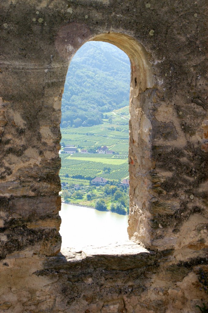 Burgruine by Markus Aschenbrenner