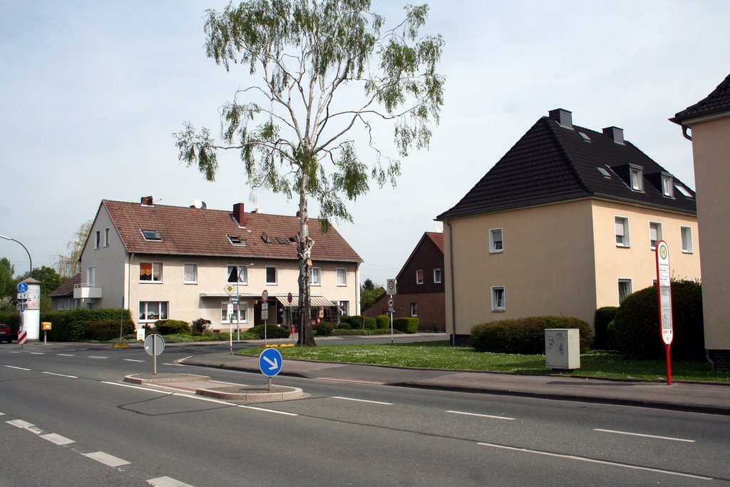 Blick auf den Küsterkamp by Peter Kronfeld