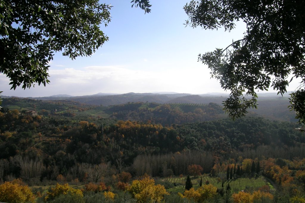 Colline di Pienza by Luigi Polo