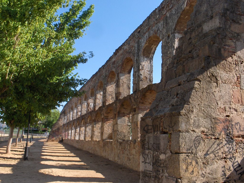 06800 Mérida, Badajoz, Spain by António M. Ramos