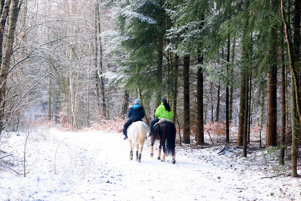 Winterse buitenrit by ko hummel