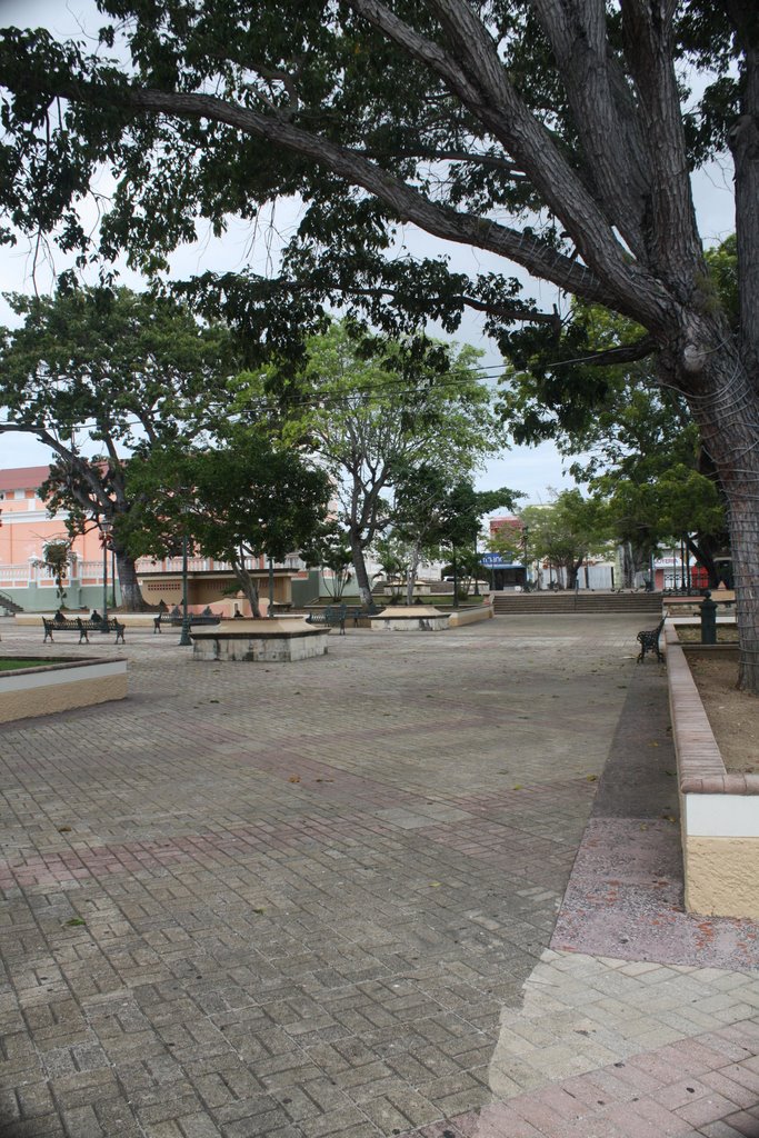 Plaza de Recreo de Fajardo by Ricardo David Jusino